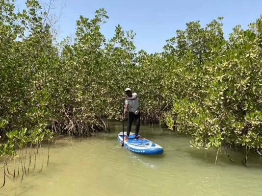 Activités nautique à la Somone