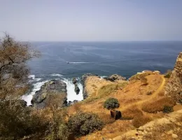 Excursion Dakar et l'île de Gorée au Sénégal