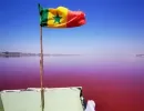 Excursion de la Réserve animalière de Bandia et Lac Rose au Sénégal