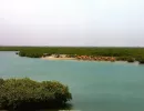 Excursion Siné Saloum et l'île aux coquillages Joal Fadiouth au Sénégal