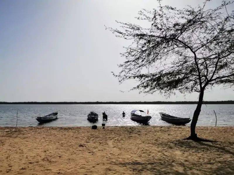 Excursion Siné Saloum et l'île aux coquillages Joal Fadiouth au Sénégal