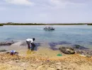 Excursion Siné Saloum et l'île aux coquillages Joal Fadiouth au Sénégal