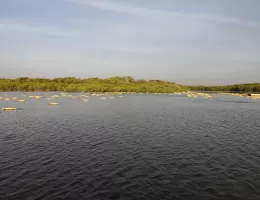 La lagune de Somone au Sénégal