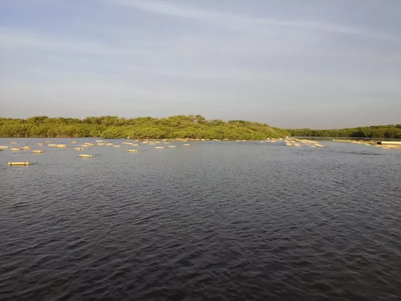 La lagune de Somone au Sénégal