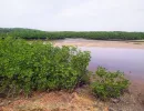 La lagune de Somone au Sénégal