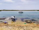 La lagune de Somone au Sénégal