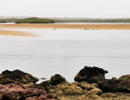 La lagune de Somone au Sénégal