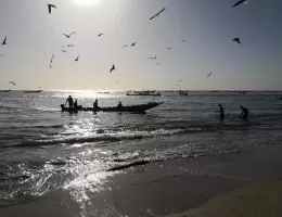 Le Marché de Mbour et l'arrivée des pêcheurs au Sénégal