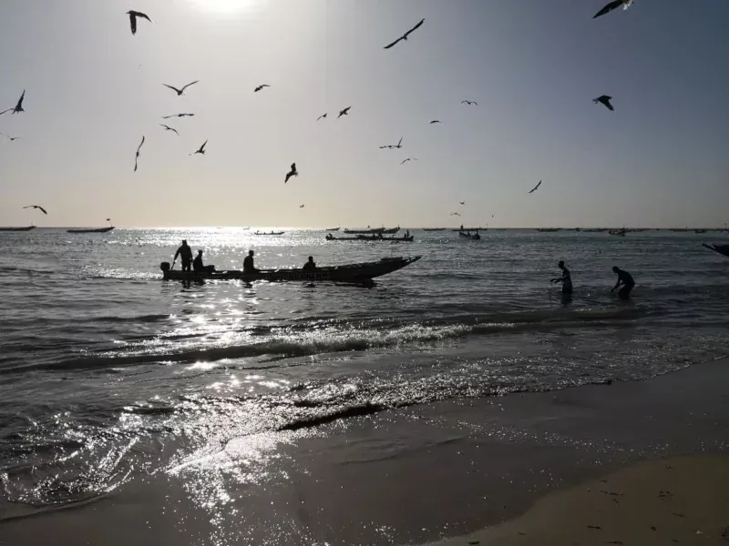 Le Marché de Mbour et l'arrivée des pêcheurs au Sénégal