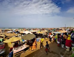 Le Marché de Mbour et l'arrivée des pêcheurs au Sénégal