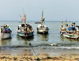 Le Marché de Mbour et l'arrivée des pêcheurs au Sénégal