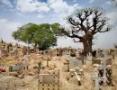 Séjour Sénégal organisé par les Cases Ngaparou au Sénégal