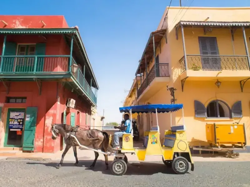Séjour Sénégal organisé par les Cases Ngaparou au Sénégal
