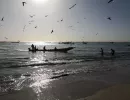 Séjour Découverte organisé par les Cases Ngaparou au Sénégal