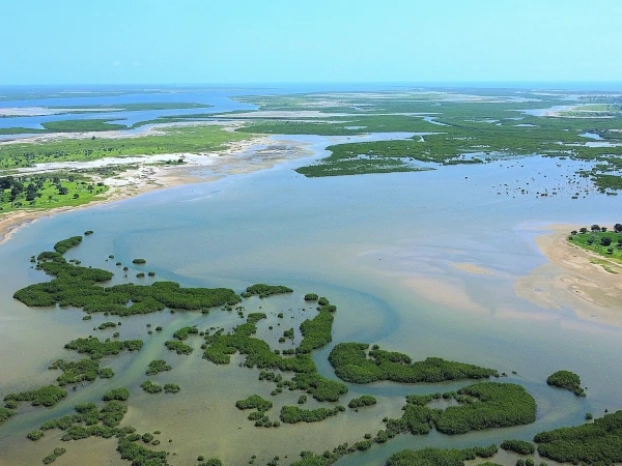 Le Siné Saloum