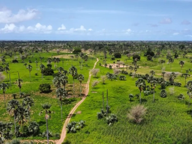 La petite Casamance