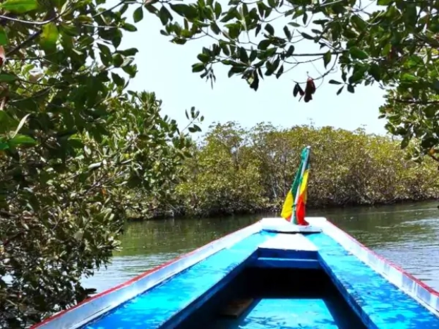 Le delta du Siné Saloum